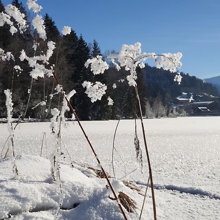 Griesbachhof-Wilder Kaiser Oberndorf in Tirol Εξωτερικό φωτογραφία