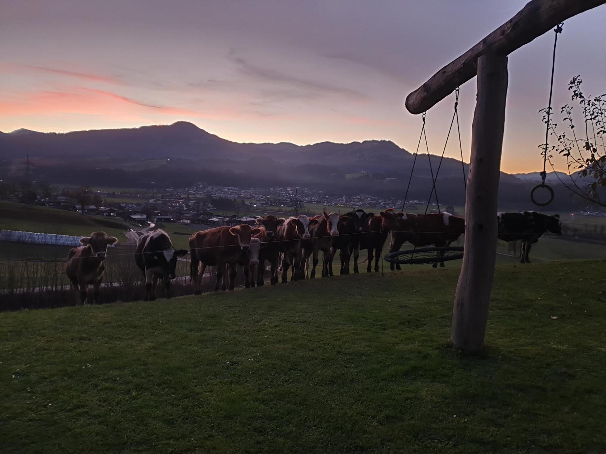 Griesbachhof-Wilder Kaiser Oberndorf in Tirol Εξωτερικό φωτογραφία