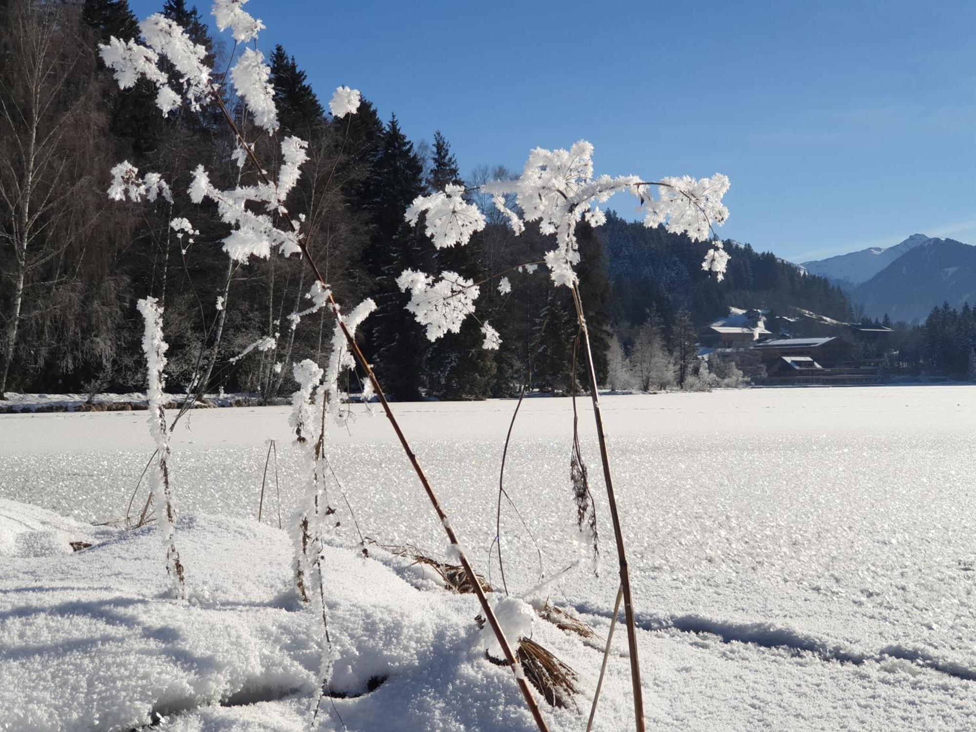 Griesbachhof-Wilder Kaiser Oberndorf in Tirol Εξωτερικό φωτογραφία