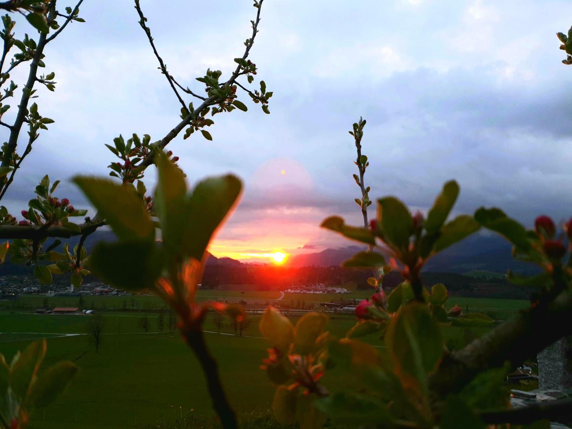 Griesbachhof-Wilder Kaiser Oberndorf in Tirol Εξωτερικό φωτογραφία