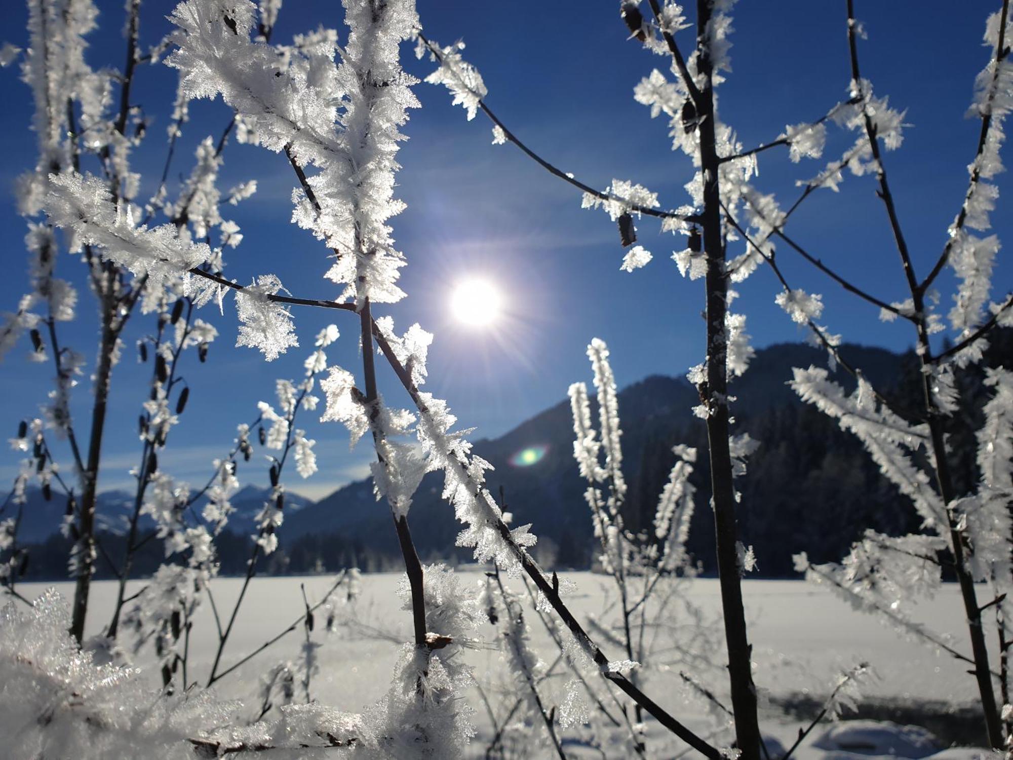 Griesbachhof-Wilder Kaiser Oberndorf in Tirol Εξωτερικό φωτογραφία