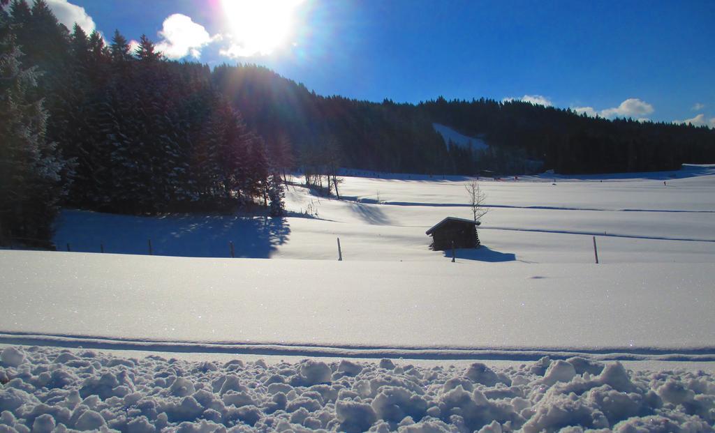Griesbachhof-Wilder Kaiser Oberndorf in Tirol Εξωτερικό φωτογραφία