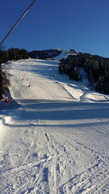 Griesbachhof-Wilder Kaiser Oberndorf in Tirol Εξωτερικό φωτογραφία